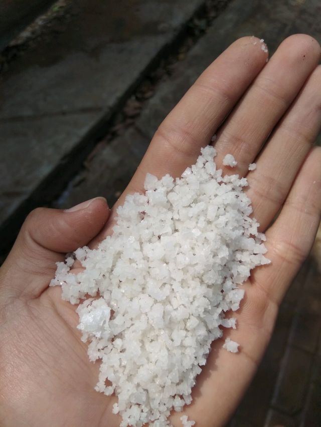 8 Cara Menghilangkan Rasa Pahit Daun Pepaya. Sobat Takut Getir Nggak Khawatir Makan Lagi!
