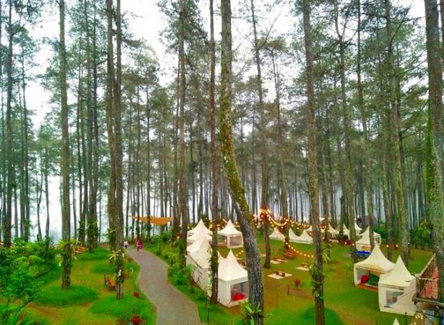 Orchid Forest Cikole
