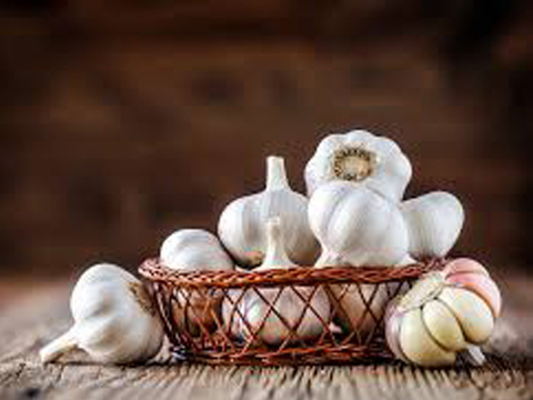 Bawang Putih