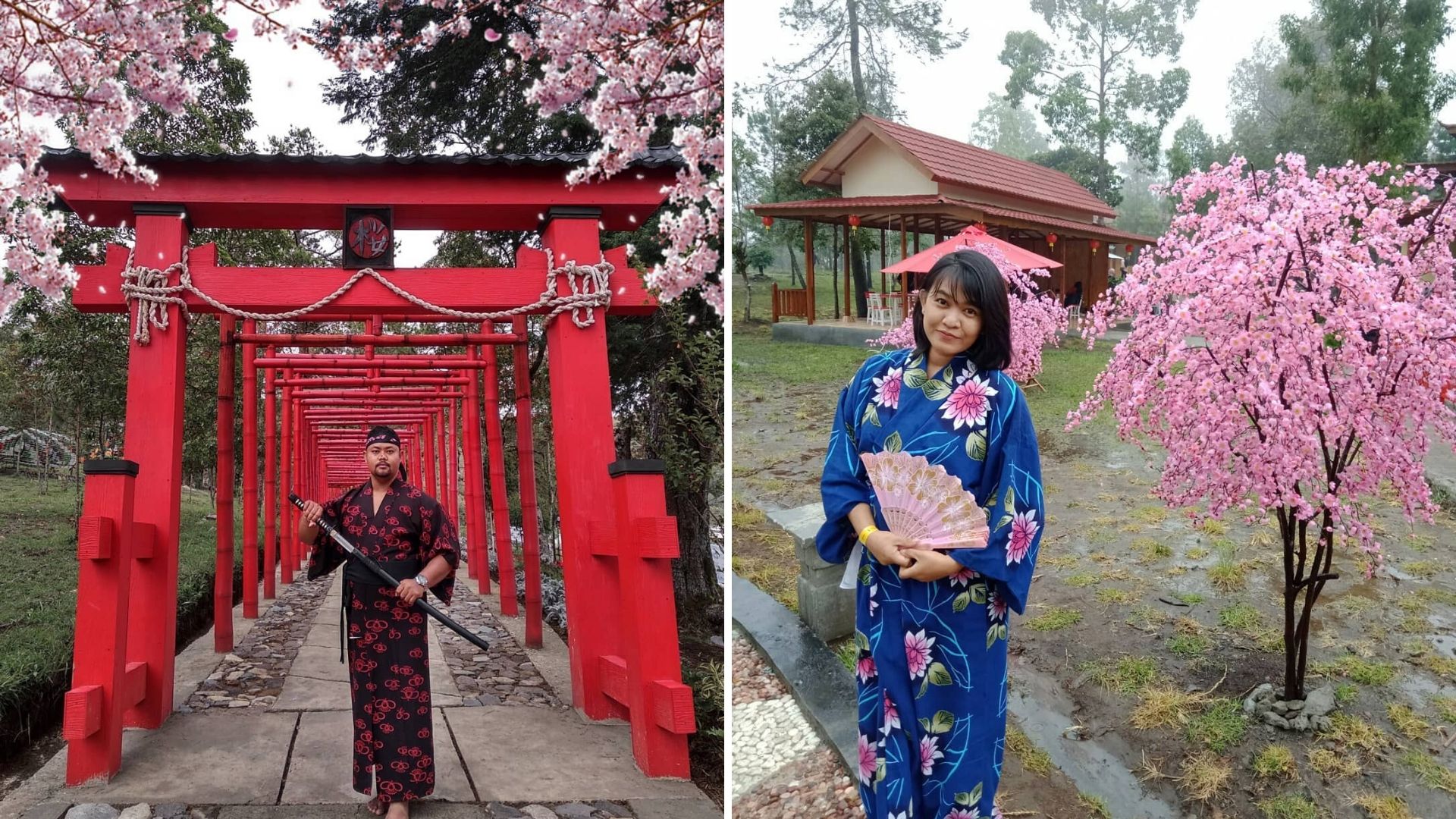 Sakura Hills Tawangmangu, Destinasi ala Jepang di Karanganyar