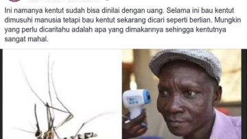 Pria Uganda Dikabarkan Mampu Bunuh Nyamuk dengan Kentutnya. Ternyata Begini lo Fakta Sebenarnya