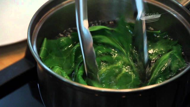 8 Cara Menghilangkan Rasa Pahit Daun Pepaya. Sobat Takut Getir Nggak Khawatir Makan Lagi!