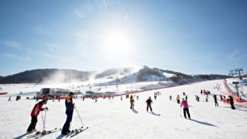 Gangwon Snow Festa: Serunya Merasakan Musim Salju di Korea, Bisa Mancing di Atas Es & Belajar Ski
