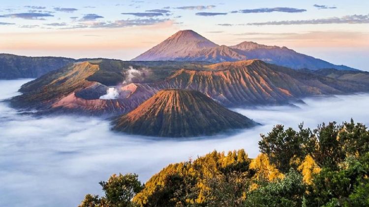 Rencana Liburan ke Bromo? 6 Barang ini Wajib Kamu Bawa!