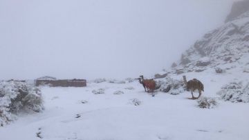 Sebuah Pemandangan Langka, Salju Turun di Arab Saudi. Pertanda Terjadi Perubahan Iklim?
