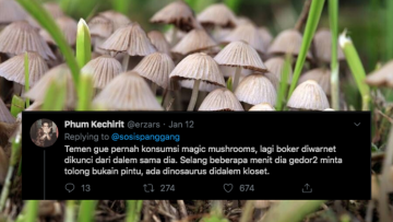 Mabuk Alkohol Memang Merepotkan, Tapi Mabuk Jamur Sapi Bikin Lebih Gila. Ini Buktinya~