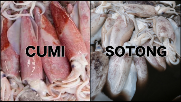 Hampir Mirip Saat Dimasak, ini Perbedaan Cumi dan Sotong. Enak Semua!