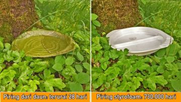 7 Benda Alternatif Pengganti Plastik. Selain Mudah Terurai Juga Bisa Dipakai Berkali-kali