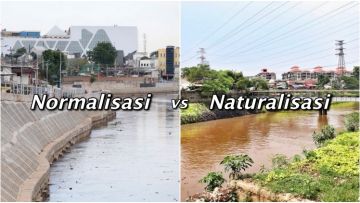 Normalisasi dan Naturalisasi Sungai Sebagai Solusi Banjir Jabodetabek. Yuk, Kenali 4 Bedanya