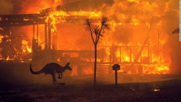 14 Potret Suasana Mencekam Kebakaran Lahan Australia. Saking Besarnya Sampai Diibaratkan Bom Atom!