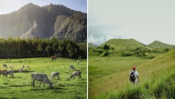 Menyusuri Lekuk Indah 6 Destinasi Wisata di Bondowoso. Indah Banget Serasa Berlibur ke New Zealand!