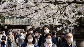 Meski Festival Hanami Dilarang, Tapi Warga Tokyo Tetap Ramai Menikmati Mekarnya Sakura
