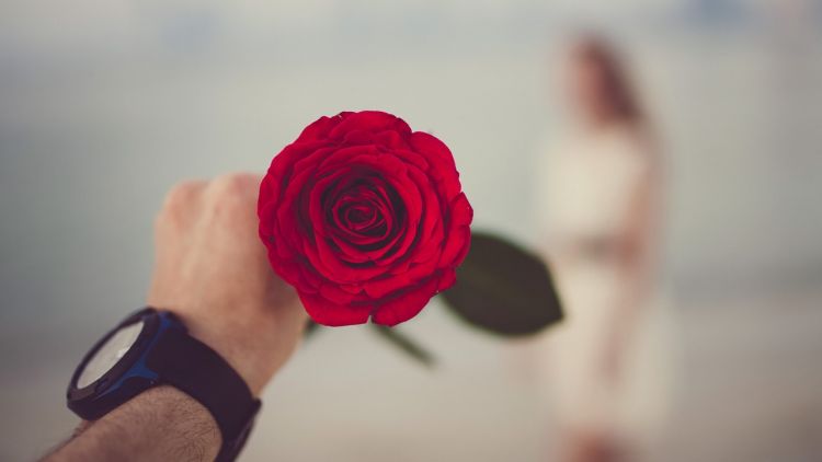 Teruntuk Mawar Merah yang Pernah Layu di Sisiku, Terima Kasih. Semoga Engkau Bahagia Selalu dengan Pilihanmu