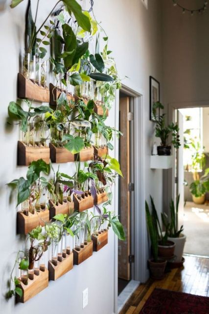 desain taman minimalis di teras rumah sempit