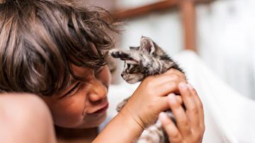 5 Pengabdian Luar Biasa Manusia pada Kucing. Tetep Cinta Meskipun Sering Diperbudak dan Disakiti~