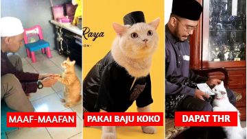 10 Kelucuan Kucing Seandainya Ikut Merayakan Lebaran. Dari Salat Id sampai Dapat THR, Gemes!