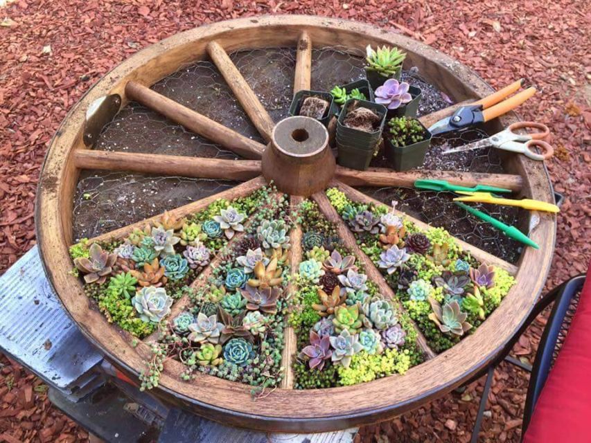 9 Pot Unik yang Bikin Taman Rumahmu Terlihat Nyentrik. Bisa Pakai Rak Gantung Hingga Tas Bekas