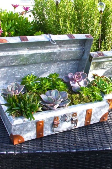 9 Pot Unik yang Bikin Taman Rumahmu Terlihat Nyentrik. Bisa Pakai Rak Gantung Hingga Tas Bekas