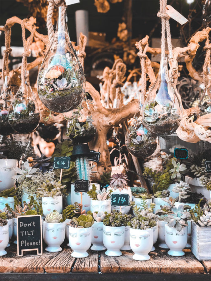 Yuk, Isi Waktu Kosongmu dengan Membuat Terrarium