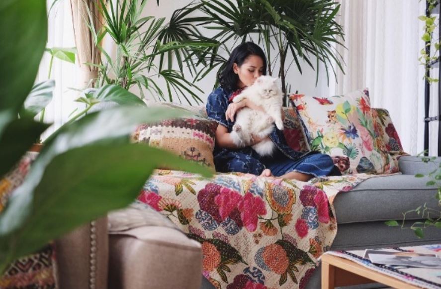 10 Artis yang Ternyata Bucing alias Budak Kucing. Sayang Banget sama Peliharaan Mereka yang Satu ini