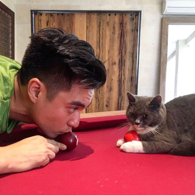 10 Artis yang Ternyata Bucing alias Budak Kucing. Sayang Banget sama Peliharaan Mereka yang Satu ini