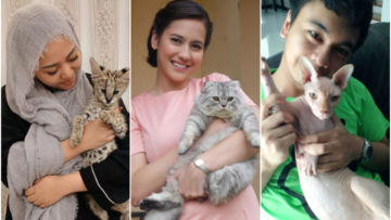 10 Artis yang Ternyata Bucing alias Budak Kucing. Sayang Banget sama Peliharaan Mereka yang Satu ini