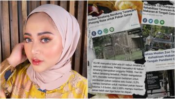 Lagi! Kini Giliran Rachel Vennya Galang Dana untuk Selamatkan Satwa yang Terancam Kelaparan