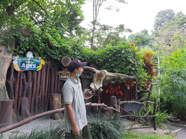 Lama Nggak Dikunjungi, Satwa di Kebun Binatang Kaget Kalau Lihat Orang. Begini Nasibnya Saat Pandemi