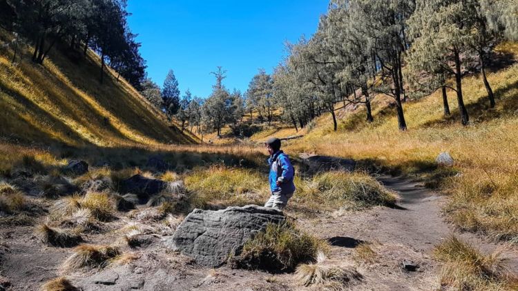 Jalur Pendakian Lawu Via Candi Cetho Kembali Dibuka, Simak Estimasi Waktu Perjalanannya