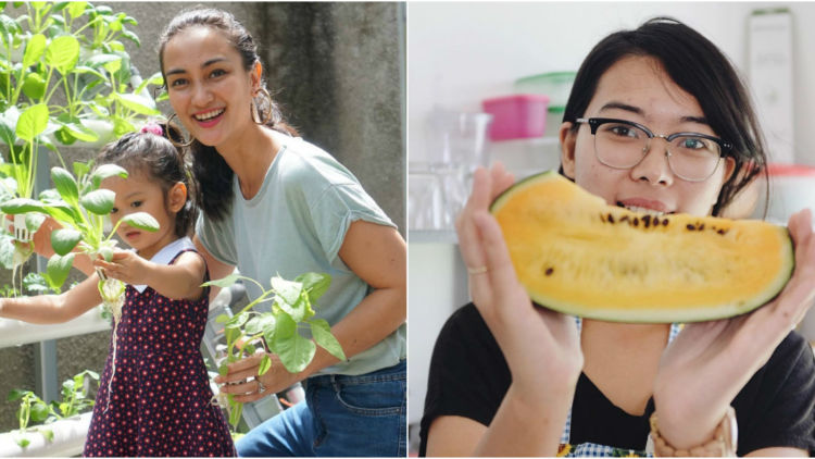 8 Artis yang Manfaatkan Swakarantina untuk Berkebun. Hasil Panennya Udah Bisa Dinikmati Sendiri!