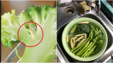 5 Cara Membersihkan Sayur Sayuran dari Ulat yang Nggak Kelihatan. Brokoli nih, Paling Rentan!
