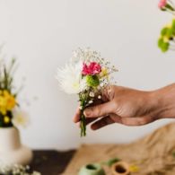 Bahaya! 5 Tanaman Unik Ini Tak Pantas Kamu Jadikan Hiasan