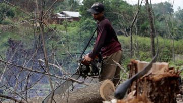 Setiap Enam Detik, Hutan Seluas Lapangan Bola Rusak. Pandemi Gini Ternyata Bikin Makin Parah!