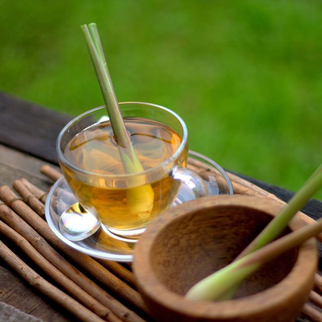 12 Minuman Penurun Kolesterol yang Bahannya Gampang Ditemui, Jangan Biarkan Tak Terkontrol