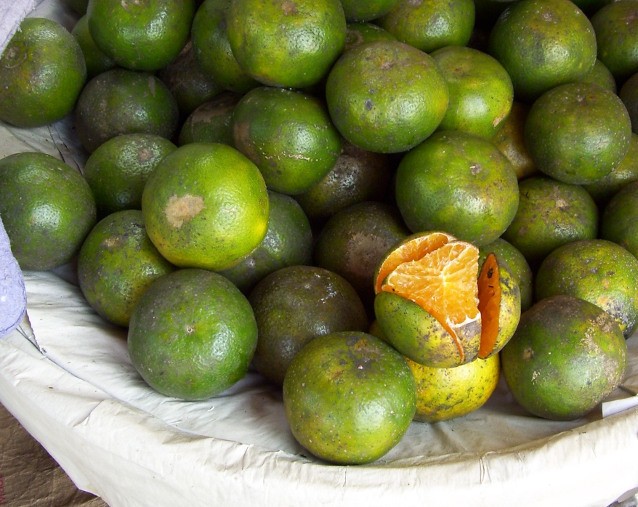 Cara Memilih Buah Jeruk Lokal yang Manis dan Banyak Airnya. Bisa Dicek dari Tekstur Kulitnya