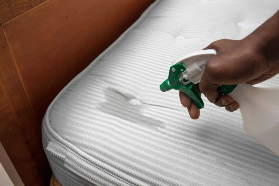 5 Tips Memilih Jasa Cuci Springbed Profesional dan Rekomendasinya di Tiap Kota. Pas Kinerjanya!