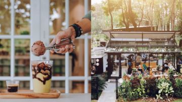 10 Kafe Tersembunyi dalam Hutan yang Bisa Kamu Kunjungi. Seru Nih Buat Pecinta Kafe ‘Aesthetic!’