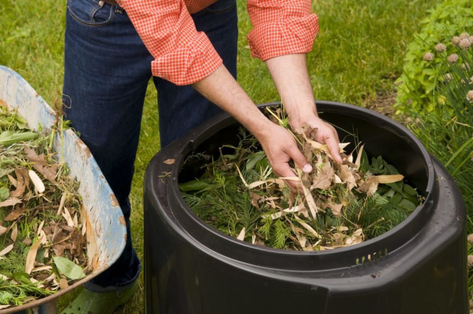 Langkah Praktis Membuat Pupuk Kompos dari Sampah Rumah Tangga. Tanaman Subur Iya, Hemat Juga