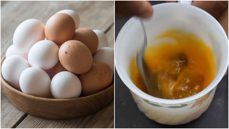Perbedaan Khasiat Telur Ayam Kampung dengan Telur Ayam Ras. Kalau untuk Kesuburan, Manjur Mana?
