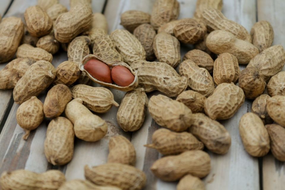 Bumil, Jangan Takut Ngemil! Ini 7 Jenis Kacang Buat Camilan Sehat Selama Kehamilan