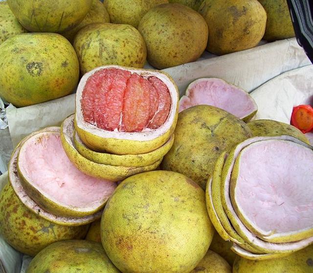 Cara Memilih Buah Jeruk Lokal yang Manis dan Banyak Airnya. Bisa Dicek dari Tekstur Kulitnya