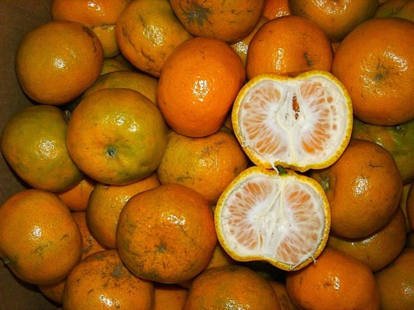 Cara Memilih Buah Jeruk Lokal yang Manis dan Banyak Airnya. Bisa Dicek dari Tekstur Kulitnya