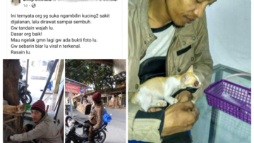 Kisah Penyelamat Kucing Liar yang Bagai Malaikat, Warganet Bertekad Viralkan Kebaikannya