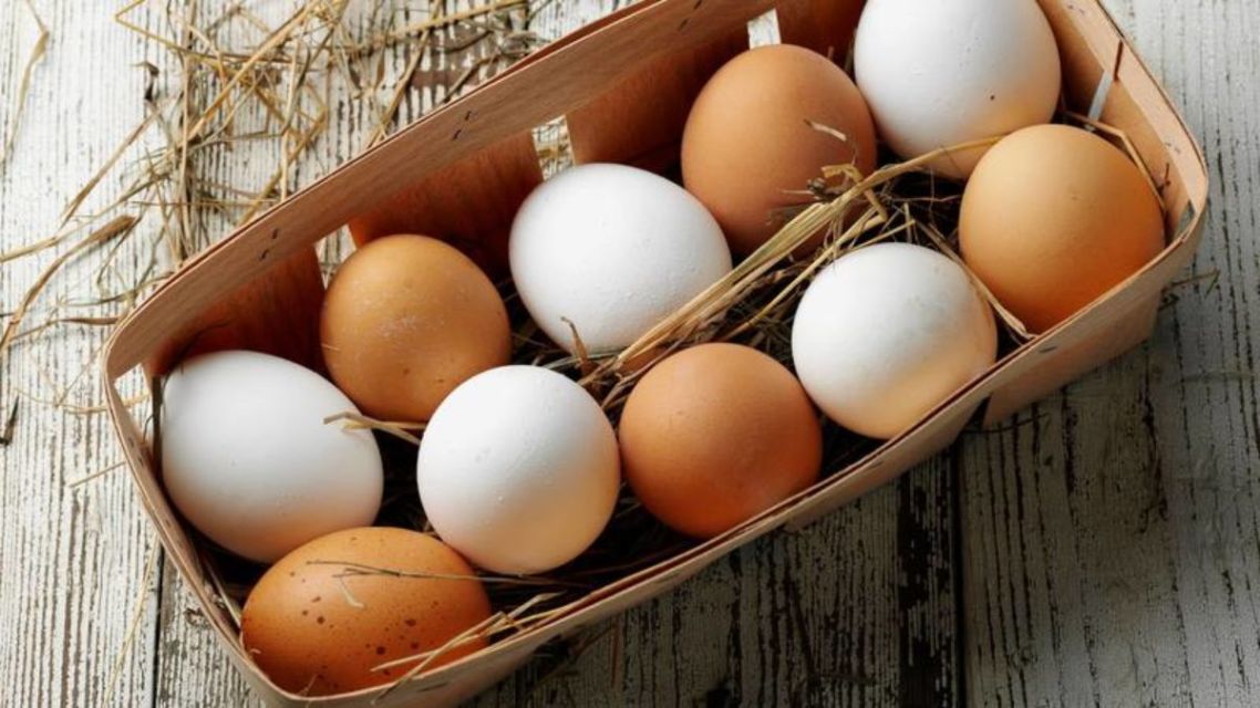 Perbedaan Khasiat Telur Ayam Kampung dengan Telur Ayam Ras. Kalau untuk Kesuburan, Manjur Mana?