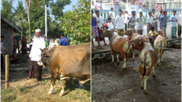 Yuk Pahami Protokol Kesehatan Saat Kurban Iduladha, Mulai dari Menyembelih sampai Bagi-bagi Daging