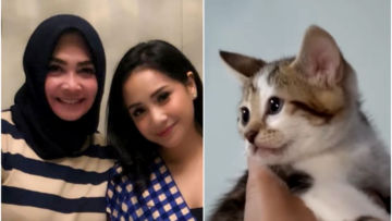 Punya Bulu dengan Corak Wajah Manusia, Kucing Ibu Nagita Slavina Pernah Ditawar 600 Juta Rupiah!