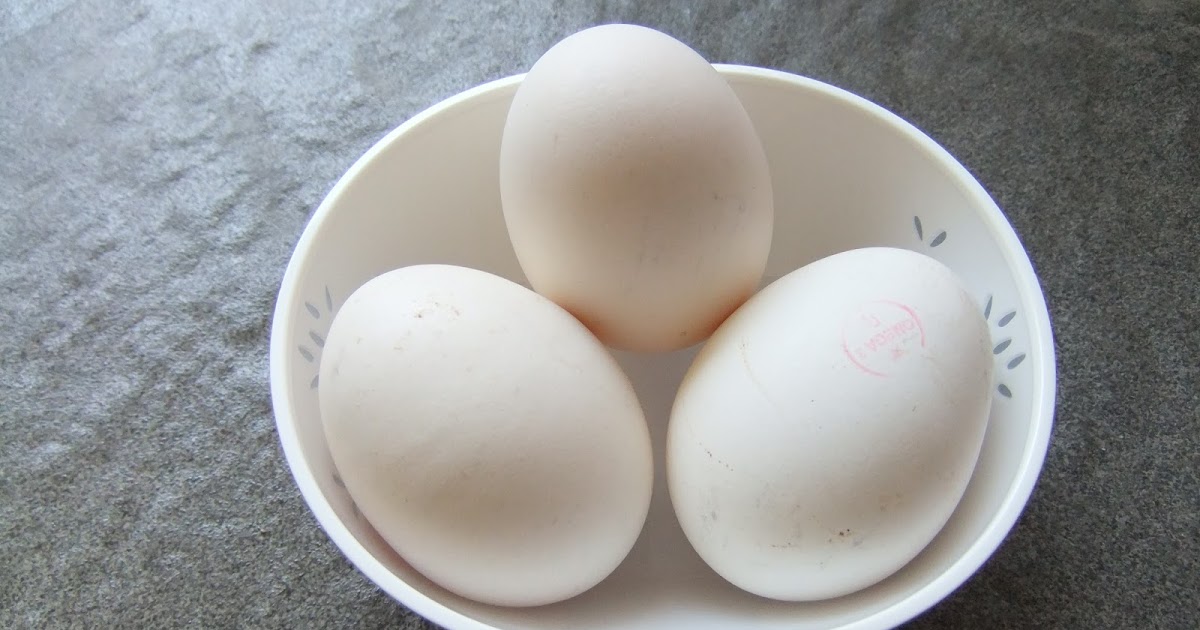 Perbedaan Khasiat Telur Ayam Kampung dengan Telur Ayam Ras. Kalau untuk Kesuburan, Manjur Mana?