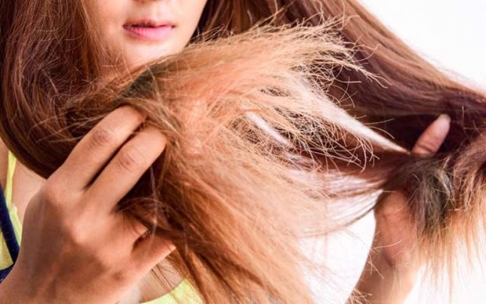 Fakta Tentang Shampo Kuda yang Katanya Bikin Rambut Cepat Panjang dan Lebat. Pernah Coba?
