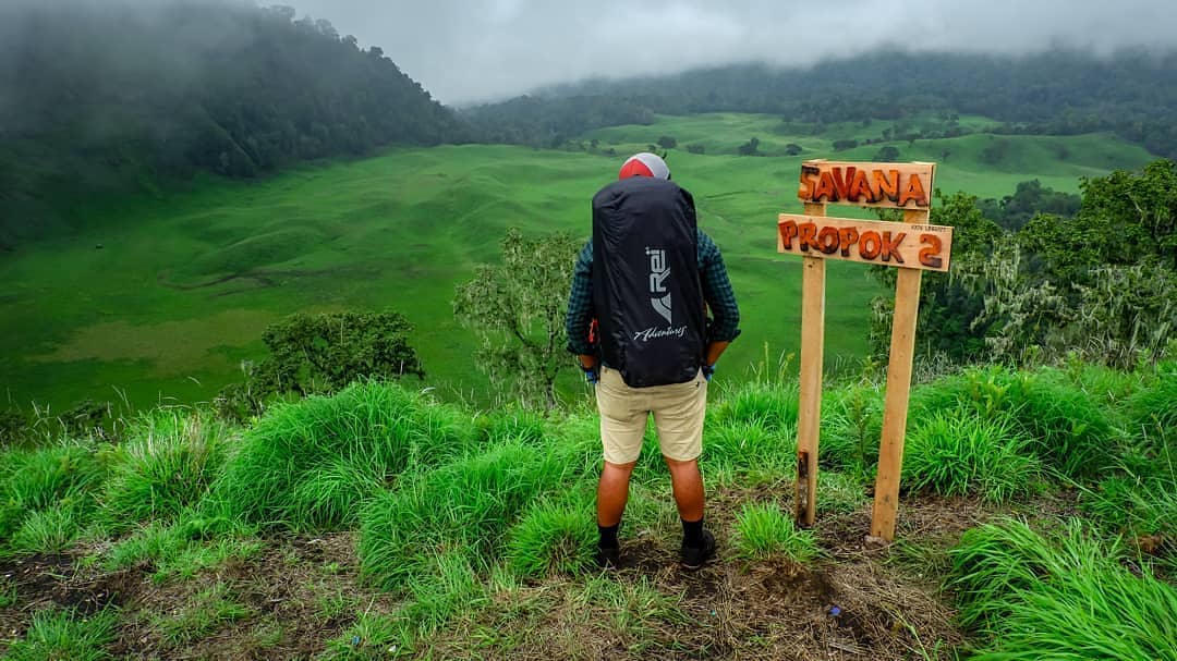 Viral Pendaki Dugem Massal di Savana Propok Lombok. Langgar New Normal dan Etika Pendakian! 8 Viral Pendaki Dugem Massal di Savana Propok Lombok. Langgar New Normal dan Etika Pendakian!