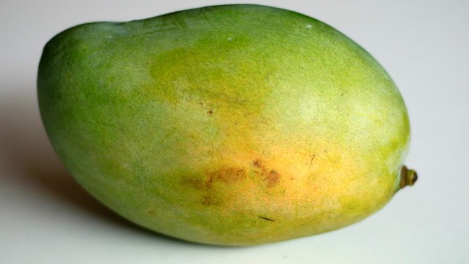 6 Ciri-ciri Buah Mangga Masak Pohon dan Bukan Karbitan. Lebih Manis, Segar, Berserat Dagingnya